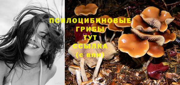 стаф Алзамай