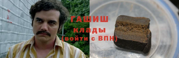 стаф Алзамай