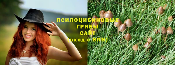 скорость Алексеевка