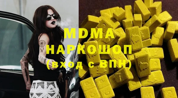 индика Алексин
