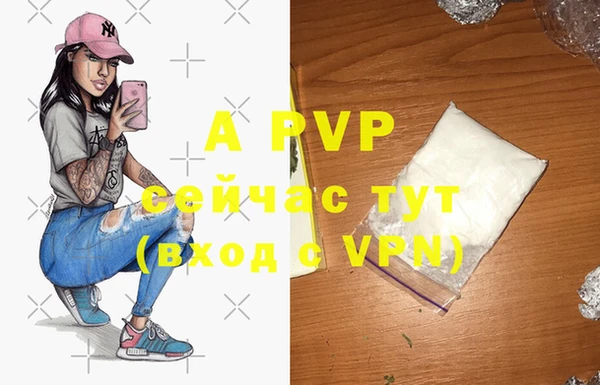 индика Алексин