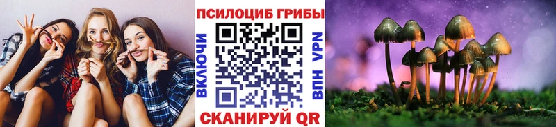 хочу наркоту  Артёмовск  Галлюциногенные грибы прущие грибы 